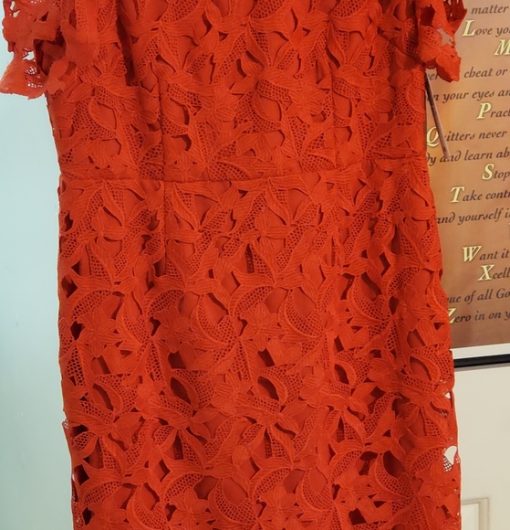 Red Lace Dress - Picture 3 of 4